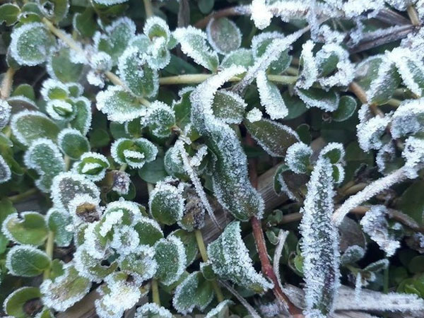 Ảnh bìa bài viết 723644