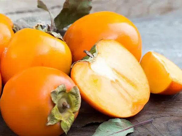 Ảnh bìa bài viết 723863