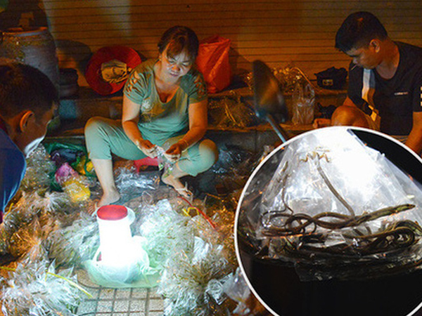 Ảnh bìa bài viết 724042