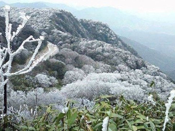 Ảnh bìa bài viết 724919