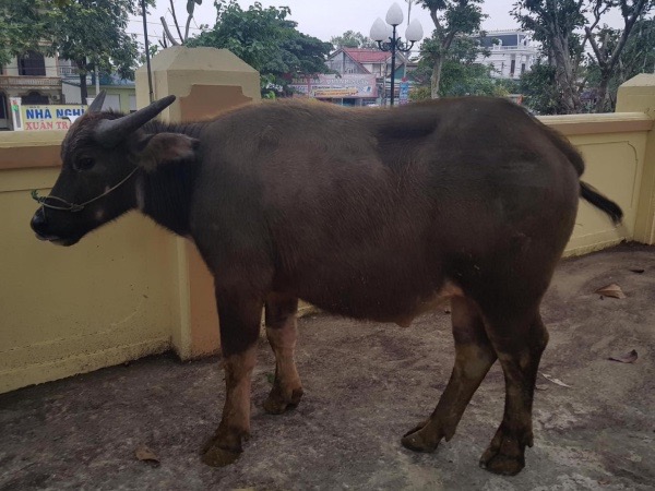 Ảnh bìa bài viết 725499