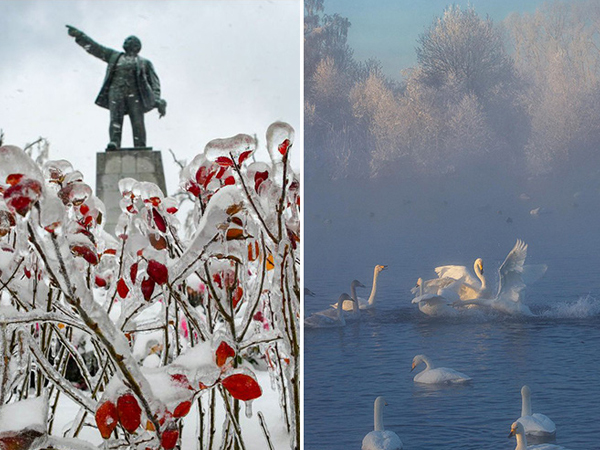 Ảnh bìa bài viết 725969