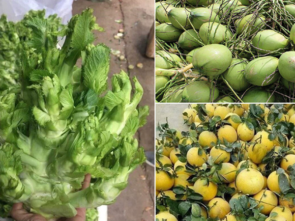 Ảnh bìa bài viết 726842
