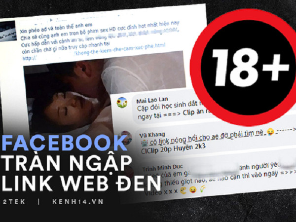 Ảnh bìa bài viết 727335