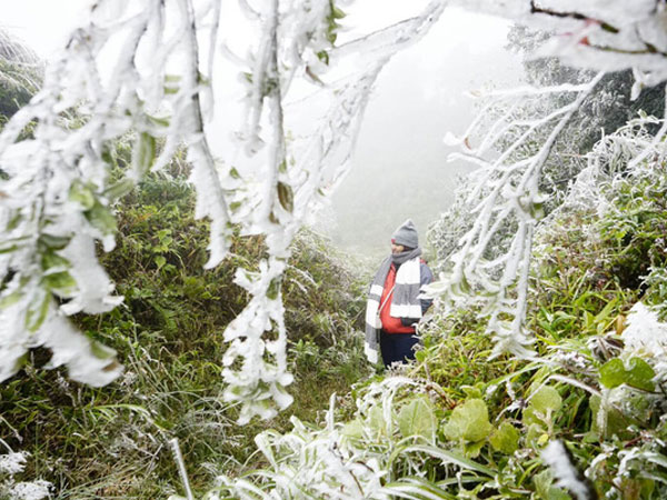 Ảnh bìa bài viết 727763