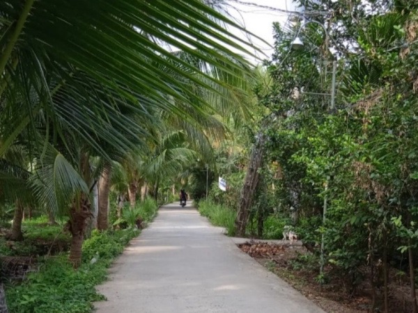Ảnh bìa bài viết 728598