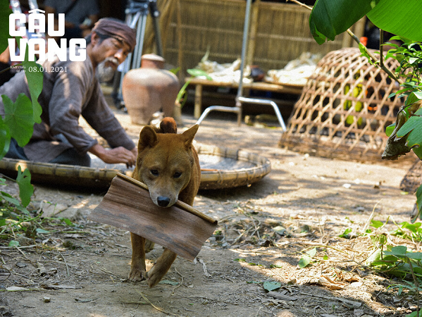 Ảnh bìa bài viết 728878