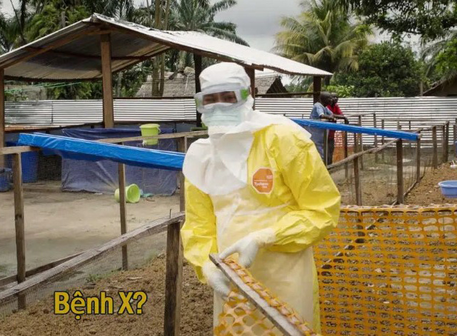 Ảnh bìa bài viết 729222