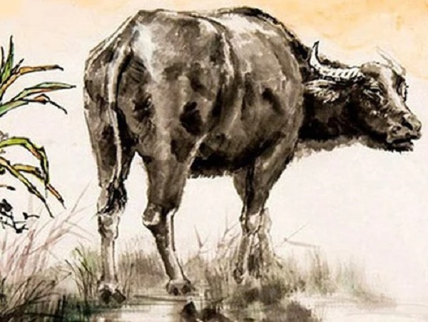 Ảnh bìa bài viết 731263