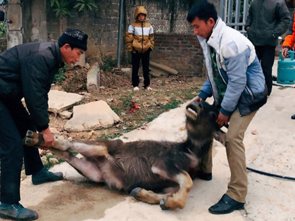 Ảnh bìa bài viết 731189