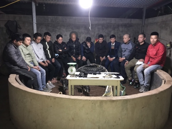 Ảnh bìa bài viết 731877