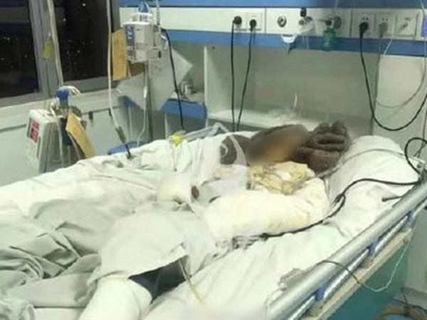 Ảnh bìa bài viết 731870