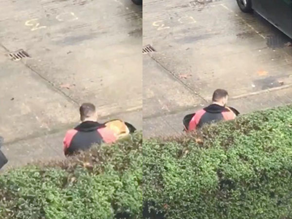 Ảnh bìa bài viết 732166