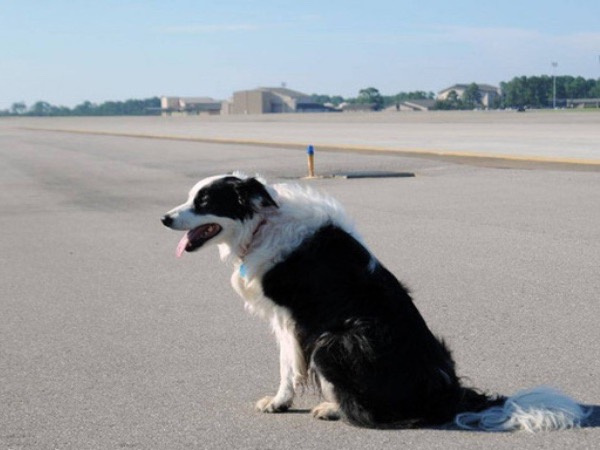 Ảnh bìa bài viết 732511