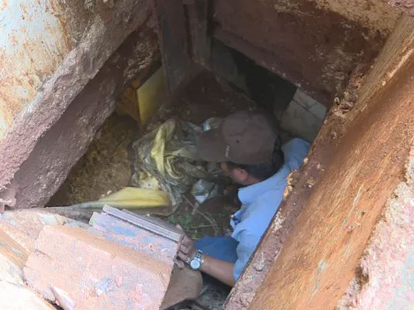 Ảnh bìa bài viết 733263