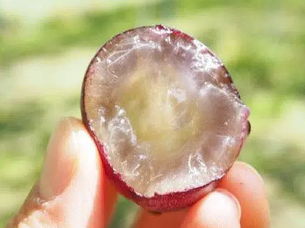 Ảnh bìa bài viết 733150