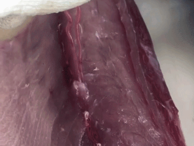 Ảnh bìa bài viết 733552