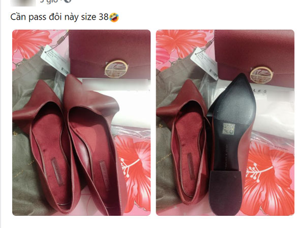 Ảnh bìa bài viết 733645