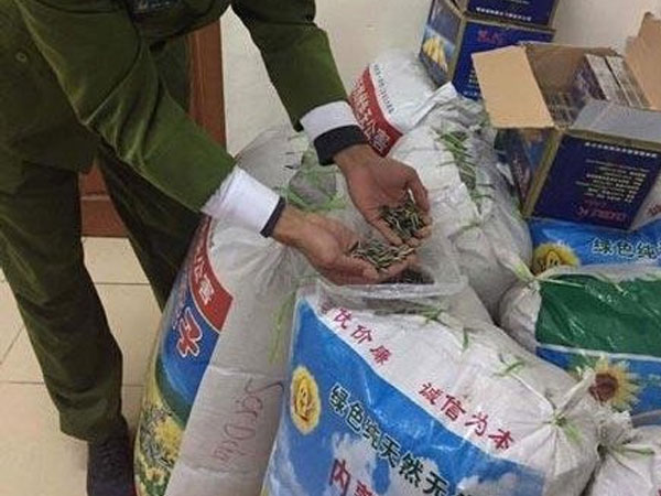 Ảnh bìa bài viết 733590