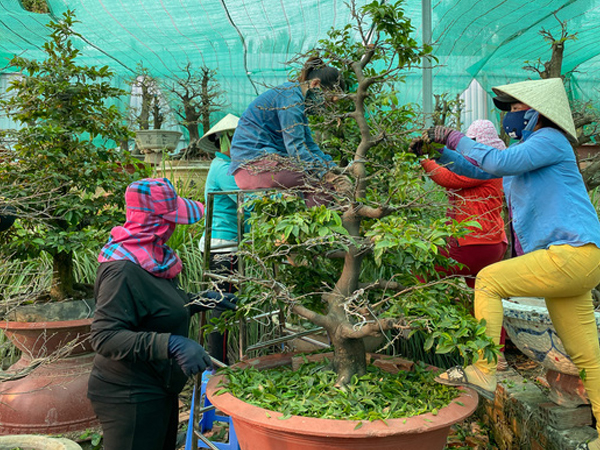 Ảnh bìa bài viết 733846