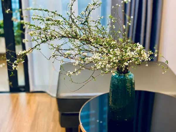 Ảnh bìa bài viết 733919