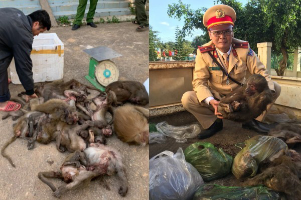 Ảnh bìa bài viết 734692