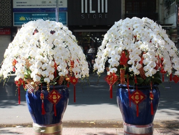 Ảnh bìa bài viết 735073