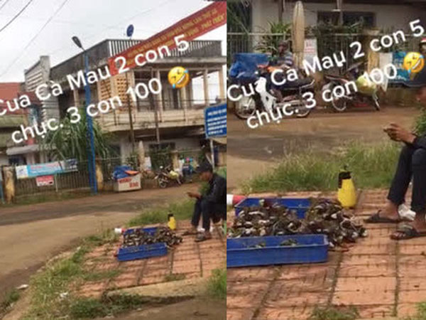 Ảnh bìa bài viết 735888