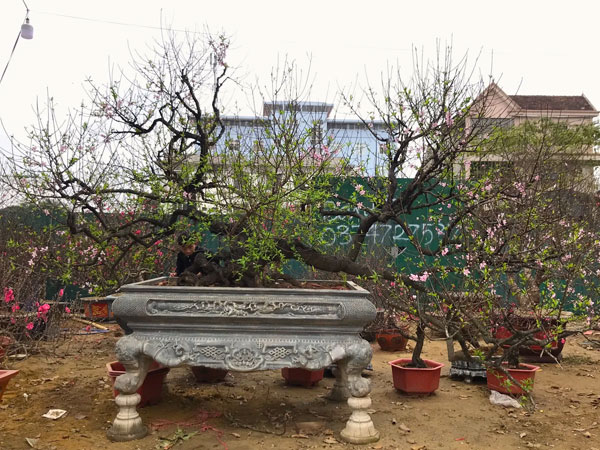 Ảnh bìa bài viết 735758