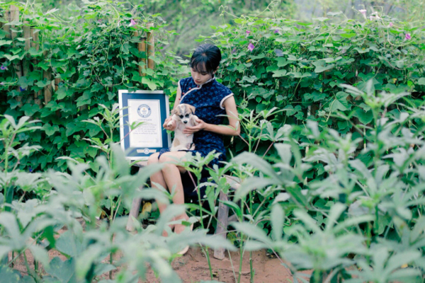 Ảnh bìa bài viết 735893