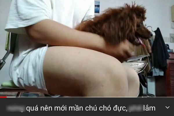 Ảnh bìa bài viết 736045
