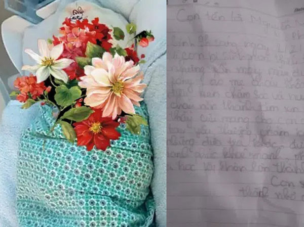 Ảnh bìa bài viết 737233