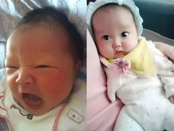 Ảnh bìa bài viết 737447