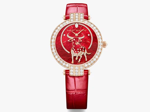 Ảnh bìa bài viết 737663