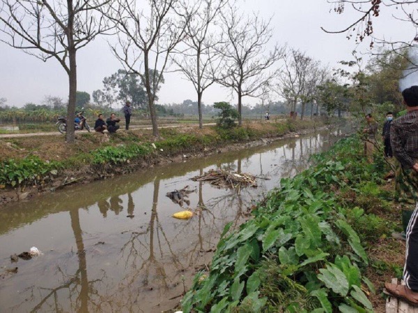 Ảnh bìa bài viết 737897