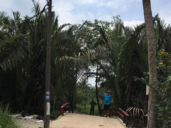 Ảnh bìa bài viết 737943