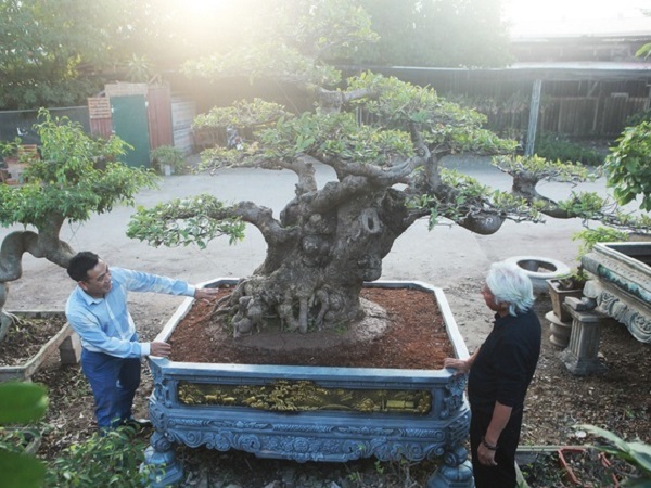 Ảnh bìa bài viết 738221