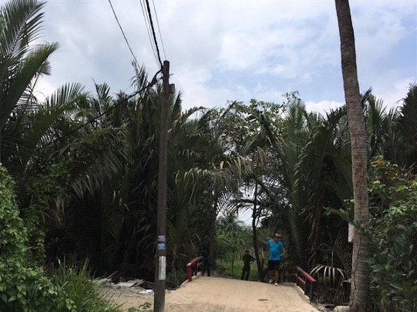 Ảnh bìa bài viết 738087