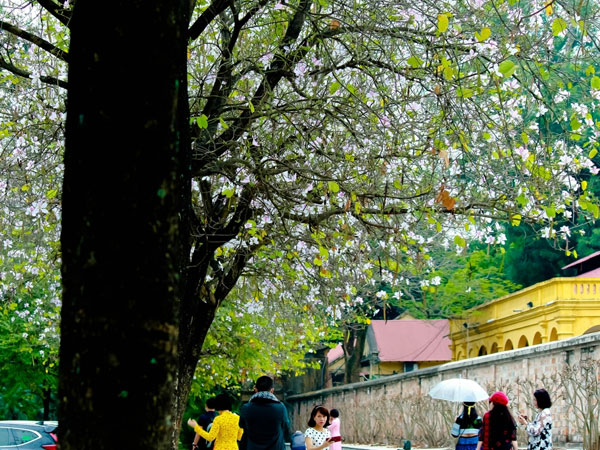 Ảnh bìa bài viết 738929