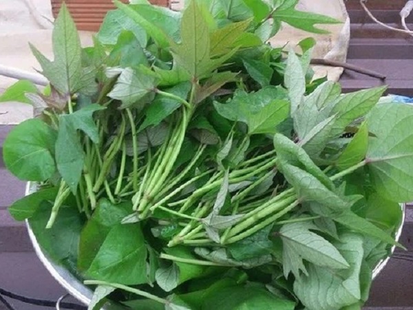 Ảnh bìa bài viết 739302