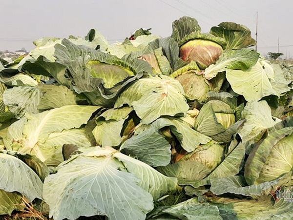 Ảnh bìa bài viết 740580