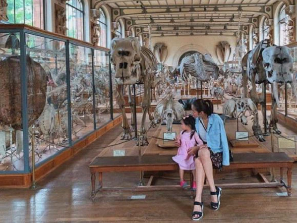 Ảnh bìa bài viết 740587