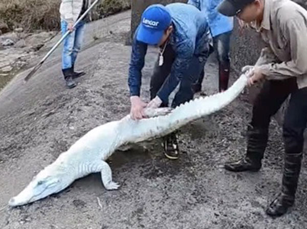 Ảnh bìa bài viết 741626