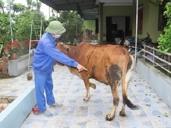 Ảnh bìa bài viết 742355