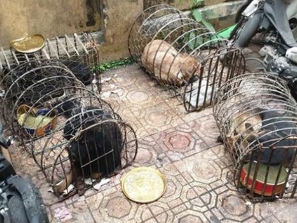 Ảnh bìa bài viết 742469