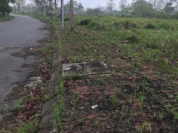 Ảnh bìa bài viết 742662