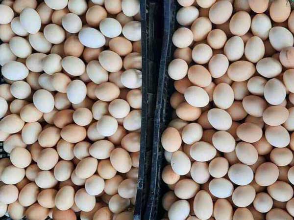 Ảnh bìa bài viết 743182