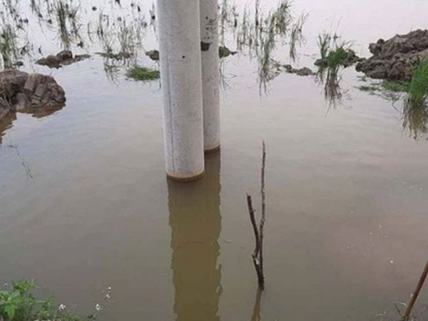 Ảnh bìa bài viết 744122