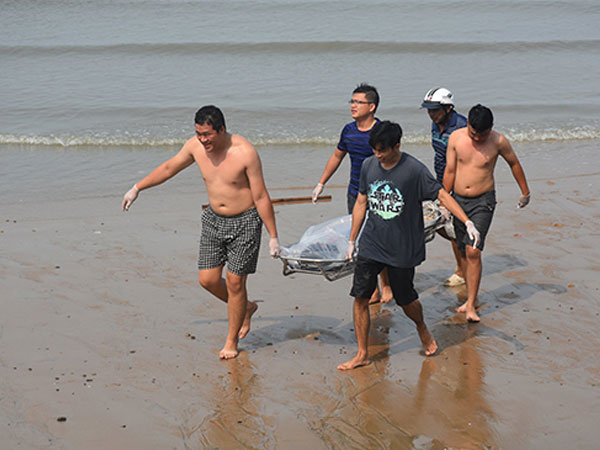 Ảnh bìa bài viết 744632