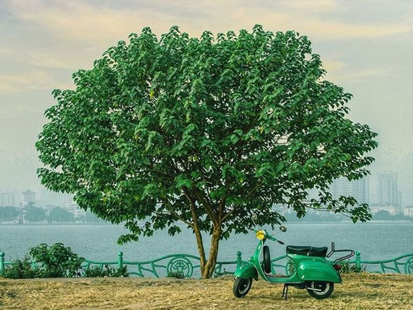 Ảnh bìa bài viết 744856